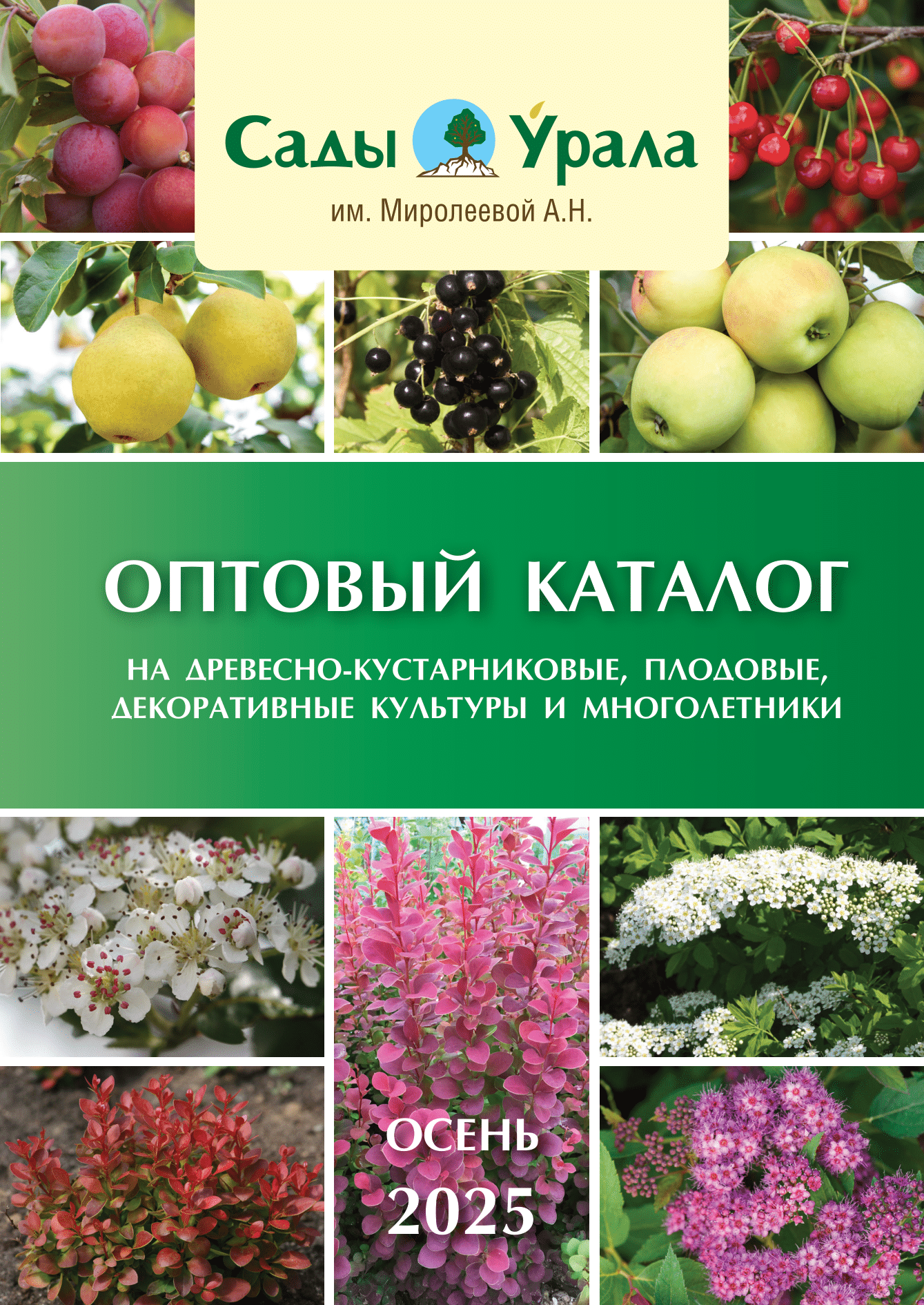 Оптовый каталог ОСЕНЬ 2025г